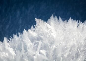 Chill Out! Easy No-Churn Ice Cream Recipes for Every Palate