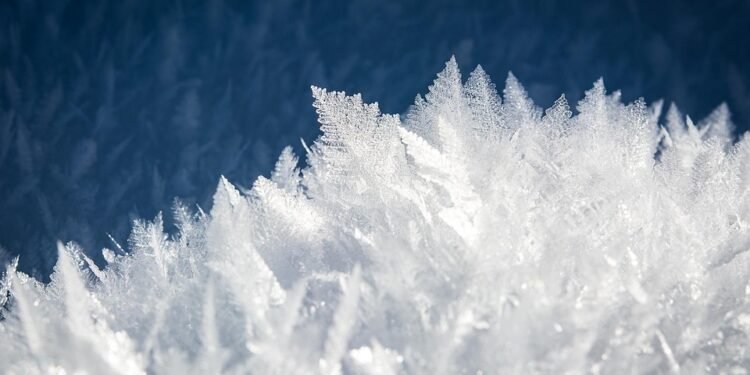 Chill Out! Easy No-Churn Ice Cream Recipes for Every Palate