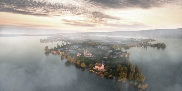 Air Fryer Genius: Tips and Tricks for Everyday Cooking