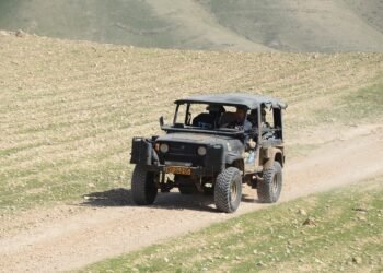 Trailblazing Tarts: Innovative Twists on Traditional Favorites