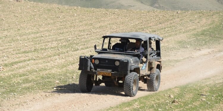 Trailblazing Tarts: Innovative Twists on Traditional Favorites