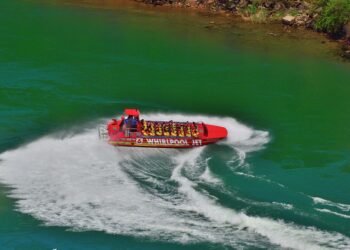 Speedy Suppers: Creative 30-Minute Meals for Every Palate