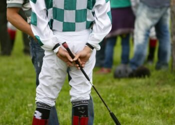 Whip It Up: 30-Minute Meals for the Busy Weeknight