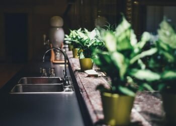 From Kitchen to Table: 20-Minute Recipes to Satisfy Any Craving