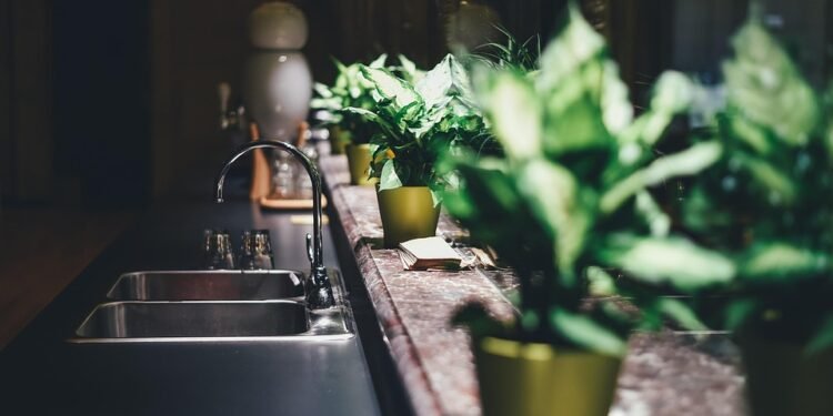 From Kitchen to Table: 20-Minute Recipes to Satisfy Any Craving