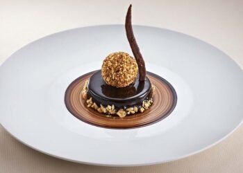 Gourmet at Home: Elevate Your Cooking with These Amazing Air Fryer Recipes