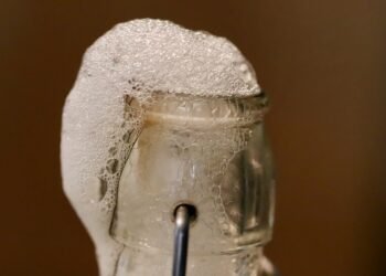 Fermented for Health: The Magic of Kombucha and Kefir