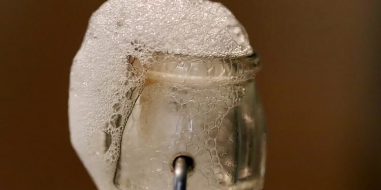 Fermented for Health: The Magic of Kombucha and Kefir