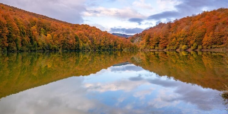 Seasonal Smoothies: Fresh Ingredients for Every Time of Year