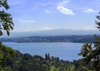 Sip Your Way to Strength: The Benefits of Protein Smoothies