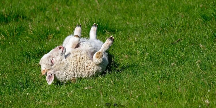 Feel free to mix and match or adapt these to better suit your audience!