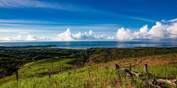 Slashing Calories, Not Flavor: The Ultimate Guide to Low-Cal Meals