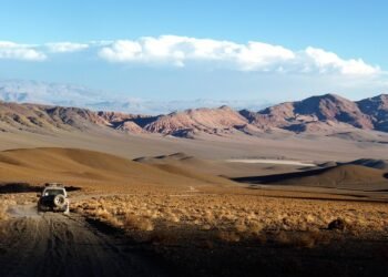 Dessert Delight: Easy Fruit Recipes That Impress Without the Stress