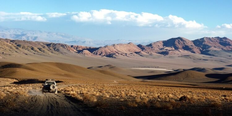 Dessert Delight: Easy Fruit Recipes That Impress Without the Stress