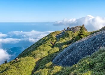 Elevate Your Sides: Transform Ordinary Potatoes with These Air Fryer Techniques!