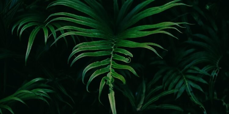 From Green to Clean: The Best Healthy Smoothie Recipes You NEED to Try