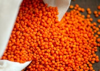 Vegan and Gluten-Free Cookies: Delicious Recipes for Everyone!