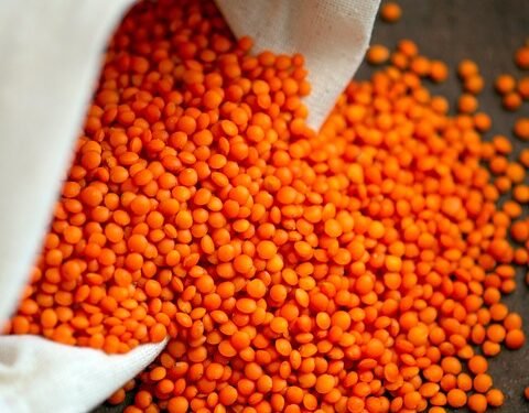 Vegan and Gluten-Free Cookies: Delicious Recipes for Everyone!