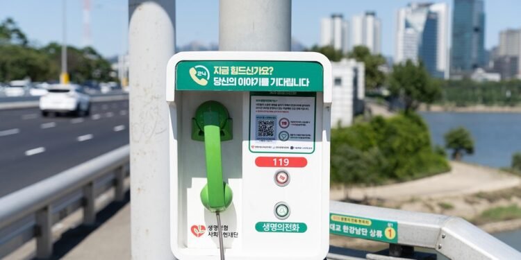 Savor the Flavor: Gourmet 30-Minute Meals You Can Master