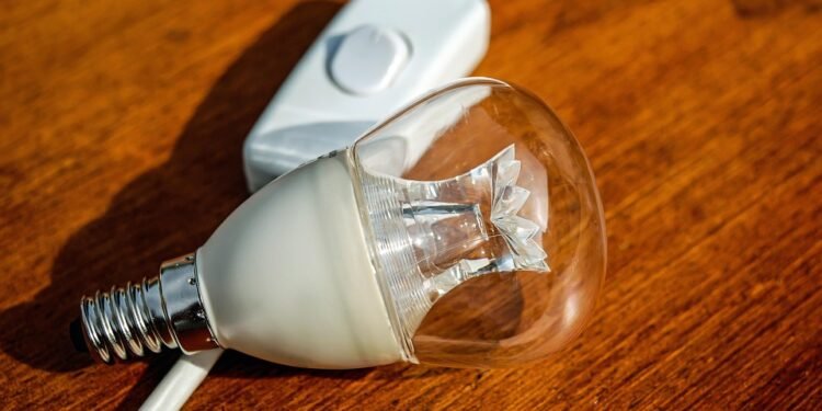 Light and Tasty: 10 Healthy Snacks You Can Make in Your Air Fryer