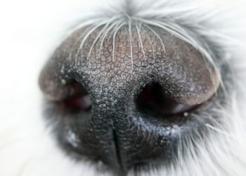 Feel free to mix and match or modify these to best suit your article's focus!