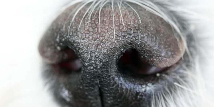 Feel free to mix and match or modify these to best suit your article's focus!