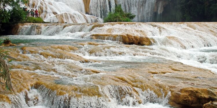 Quick & Tasty: Meals That Will Change Your Dinner Routine Forever!