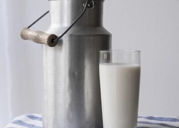 Meal Prep Magic: Quick and Healthy Salad Recipes for Busy Weekdays