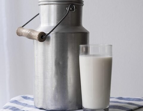 Meal Prep Magic: Quick and Healthy Salad Recipes for Busy Weekdays