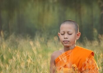 From Novice to Pro: Master Your Air Fryer in No Time!