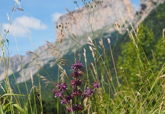 Whisking You Away: Decadent Chocolate Cake Recipes to Indulge In