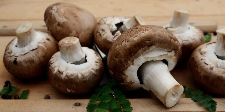 “Nutritious and Delicious: Your Guide to Healthy Home Cooking”