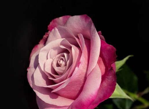 Feel free to mix and modify any of these to better suit your style!