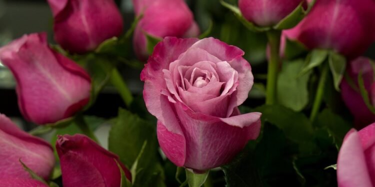 Feel free to mix and match or adapt these to suit your needs!