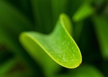 Feel free to mix and match or modify any of these to better fit your style!