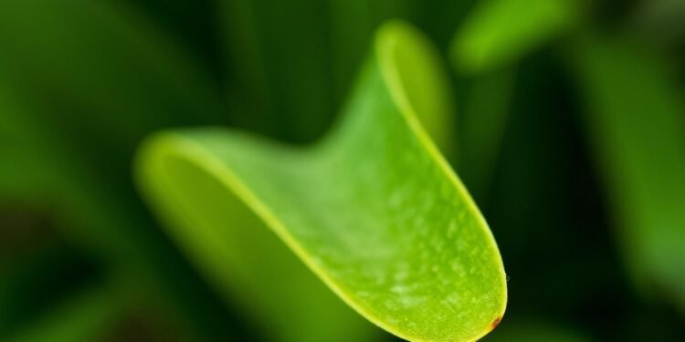 Feel free to mix and match or modify any of these to better fit your style!