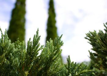 Feel free to mix and match or tweak them to fit your style!