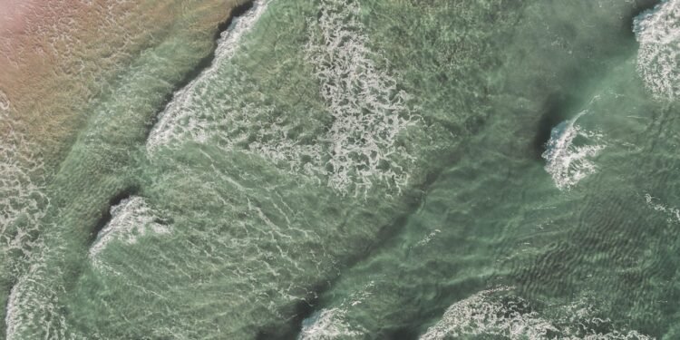 Green Goodness: Unlock the Power of Smoothies for Your Health