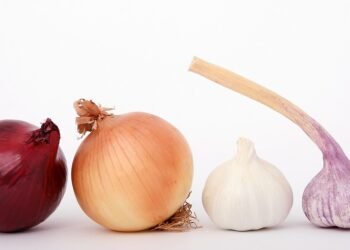 Savor the Flavor: 20-Minute Dinners That Deliver in Taste