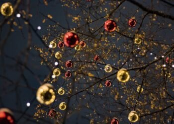 Cheers to Summer: Crafting the Perfect Patio Cocktails