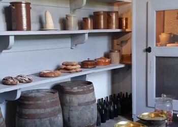 From Pantry to Plate: Easy Healthy Meals Using Everyday Ingredients