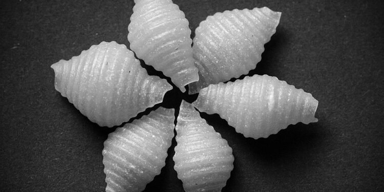 Gluten-Free Goodness: Transform Your Meals with an Air Fryer