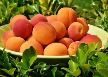 One Bowl Wonders: Easy Brownie Recipes for Busy Bakers