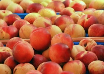 Deliciously Simple: 5 Recipes You Can Make in Under 30 Minutes