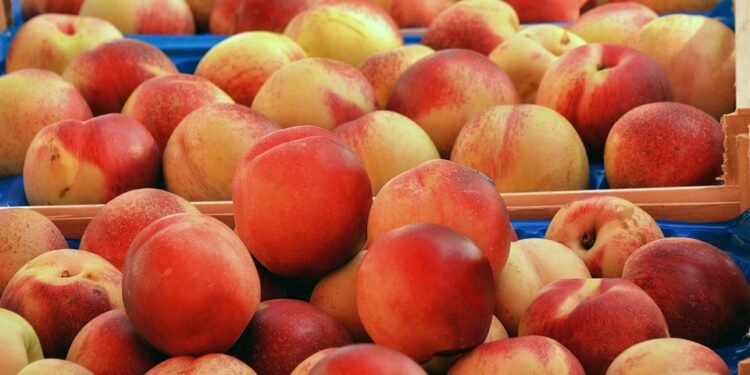 Deliciously Simple: 5 Recipes You Can Make in Under 30 Minutes