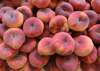 Sweet Indulgence: 10 Decadent Dessert Recipes to Satisfy Your Cravings