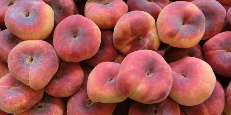 Sweet Indulgence: 10 Decadent Dessert Recipes to Satisfy Your Cravings