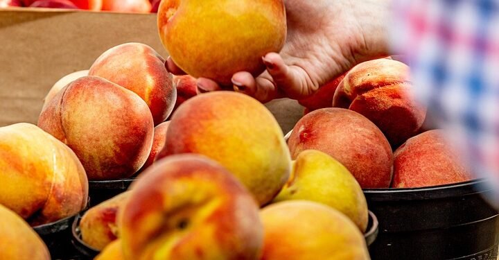 Feel free to mix and match or modify them to suit your theme!