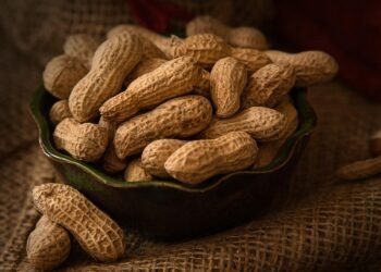 The Snack Revolution: Unleash Your Air Fryer’s Potential