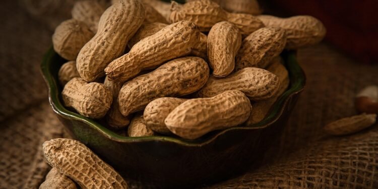 The Snack Revolution: Unleash Your Air Fryer’s Potential